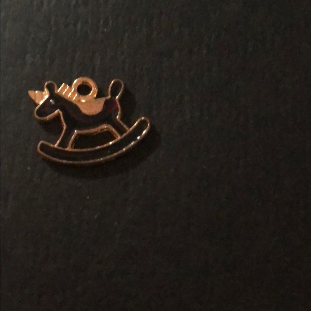Charm - Picture 1 of 1